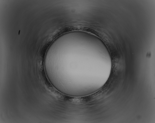 X0000089930615200707131433