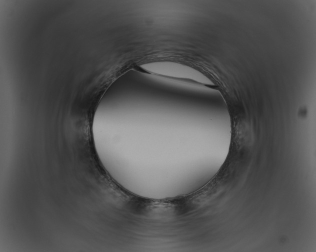 X0000089930617200707131433