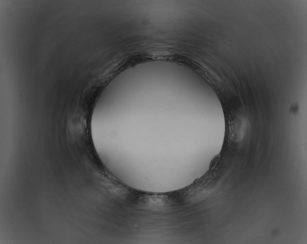 X0000089930618200707131433