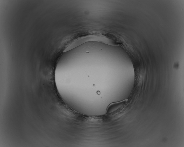 X0000089930619200707131433