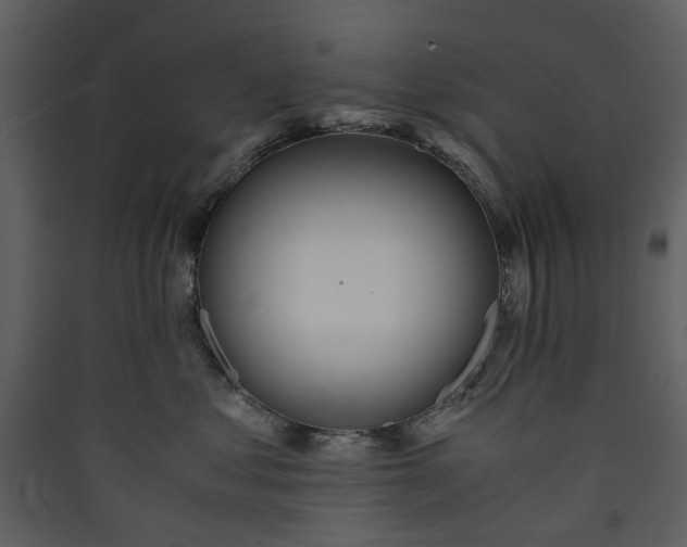 X0000089930621200707131433