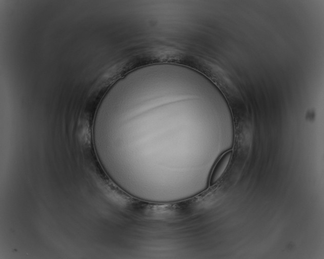 X0000089930622200707131433