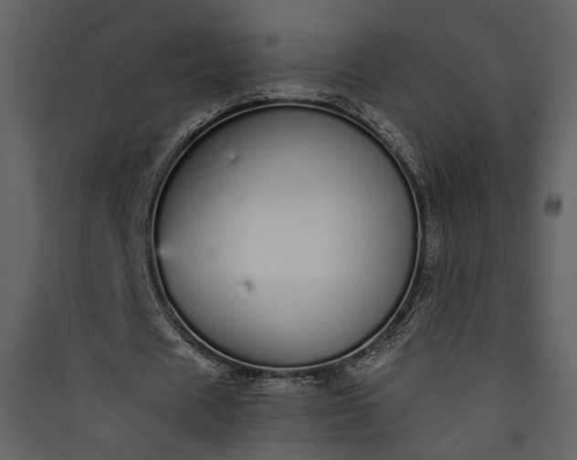 X0000089930625200707131432