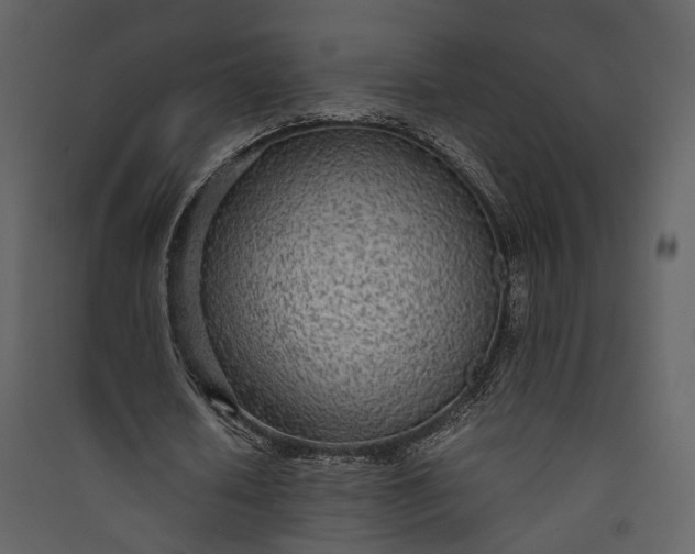 X0000089930626200707131432