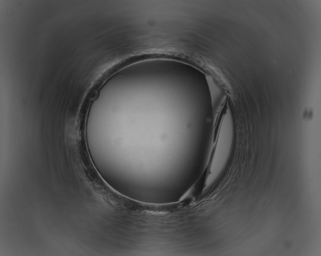 X0000089930628200707131433