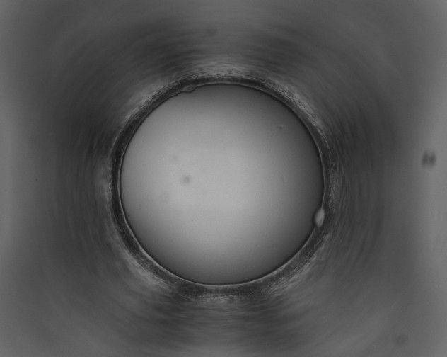 X0000089930629200707131433