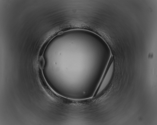 X0000089930630200707131433