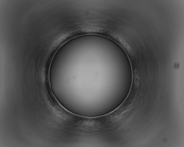 X0000089930631200707131433