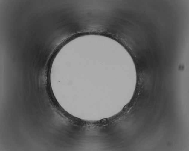 X0000089930632200707131433