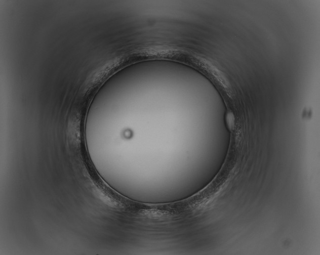 X0000089930633200707131433