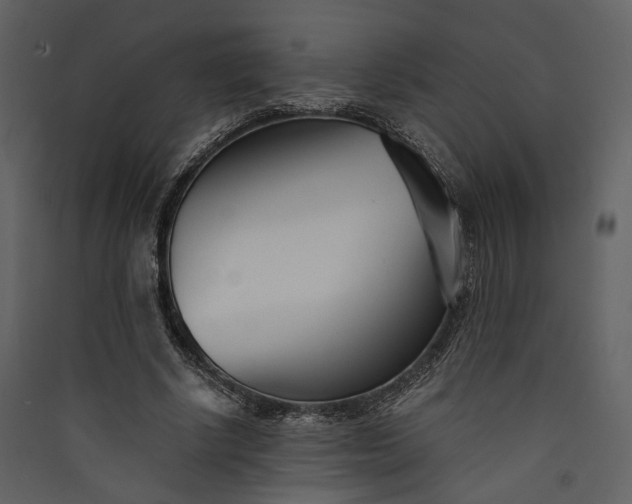 X0000089930634200707131433