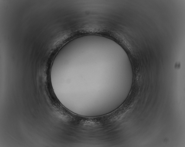 X0000089930635200707131433