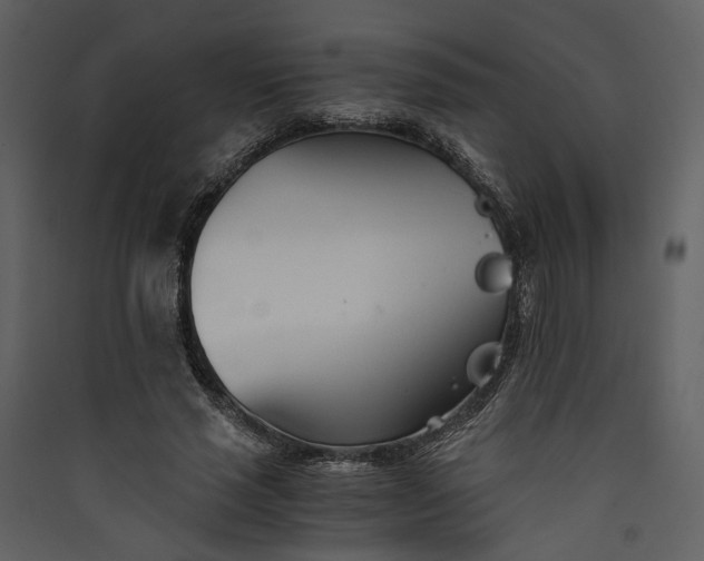 X0000089930637200707131433