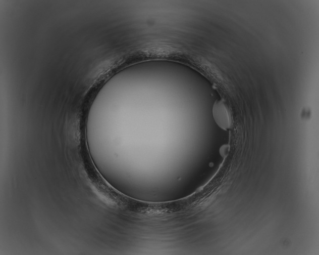 X0000089930638200707131433