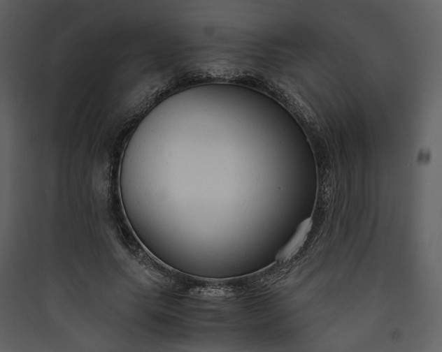 X0000089930639200707131433