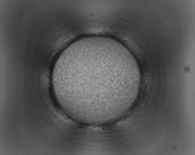 X0000089930640200707131433