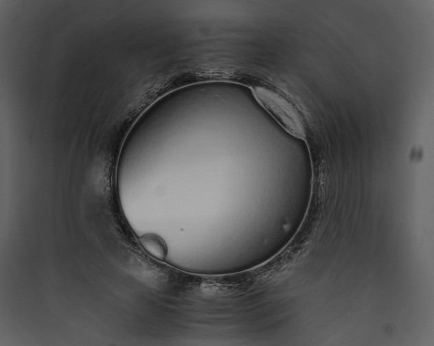 X0000089930641200707131433