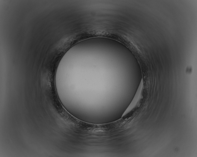 X0000089930643200707131433