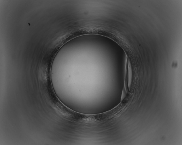 X0000089930644200707131433