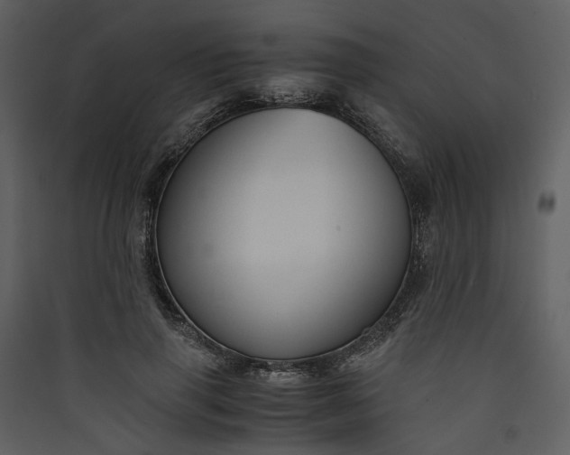 X0000089930645200707131433