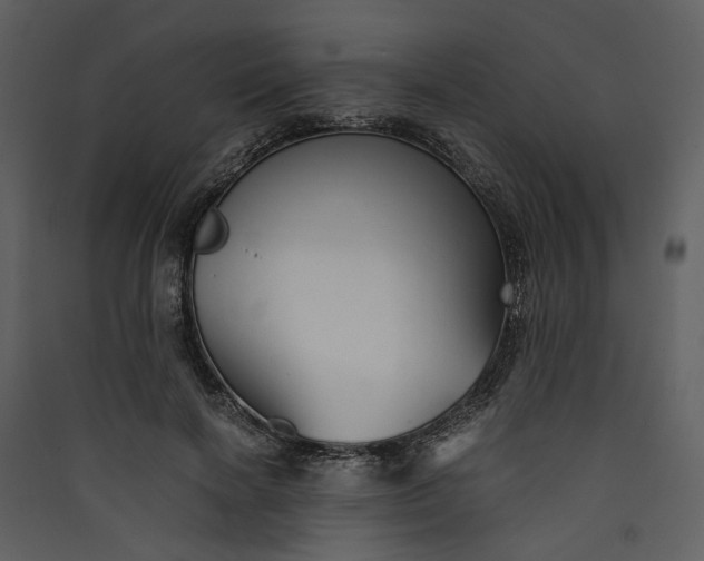 X0000089930646200707131433