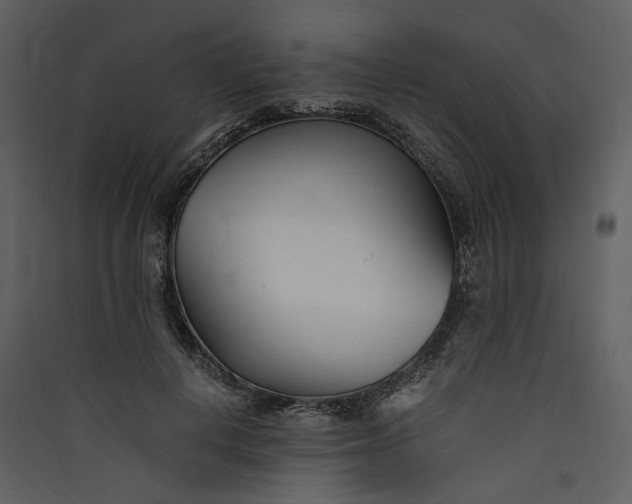 X0000089930648200707131433