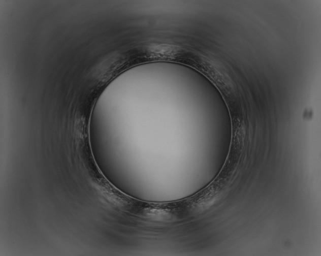 X0000089930649200707131433