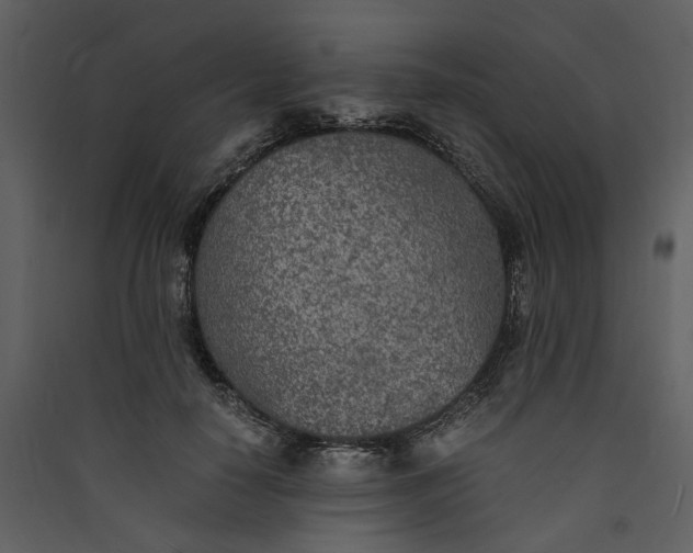 X0000089930650200707131433