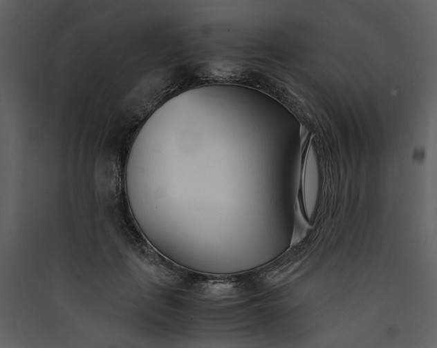 X0000089930651200707131433