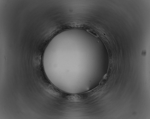 X0000089930652200707131433