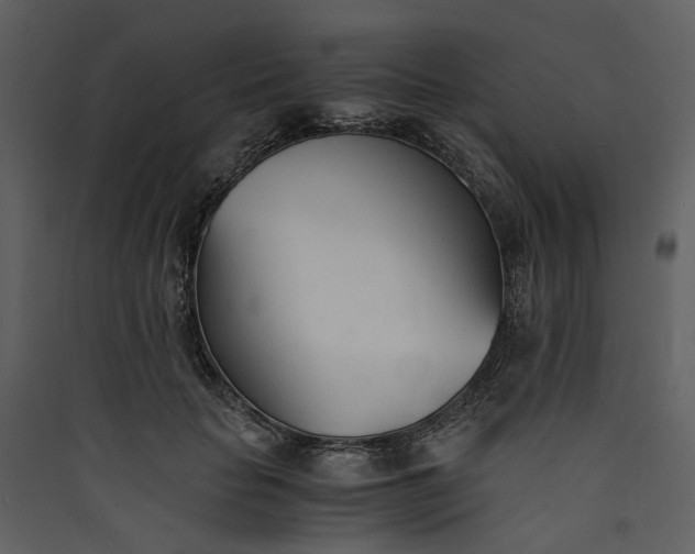 X0000089930653200707131433