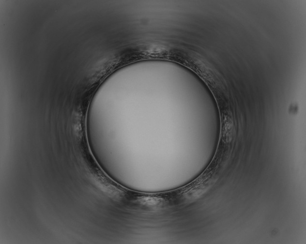 X0000089930654200707131433