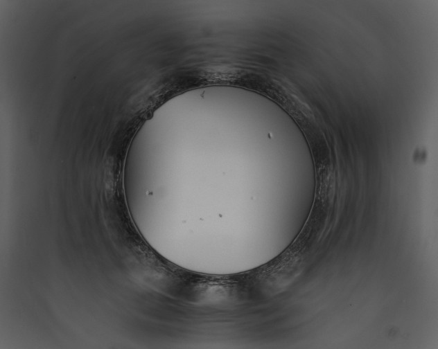 X0000089930655200707131433