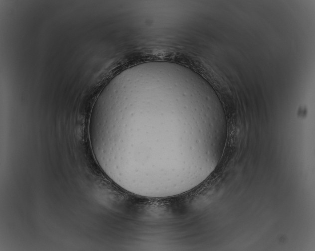 X0000089930656200707131433