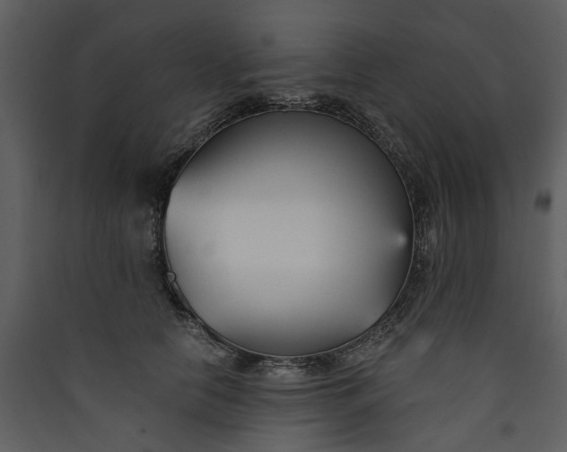 X0000089930658200707131433