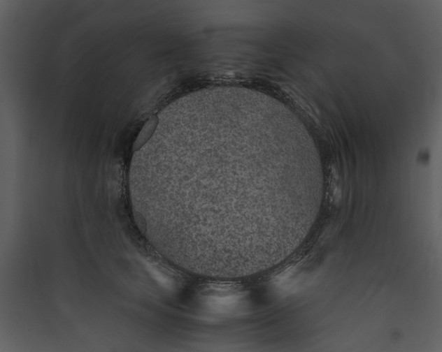 X0000089930659200707131433