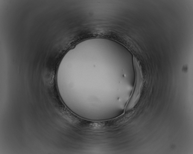 X0000089930660200707131433