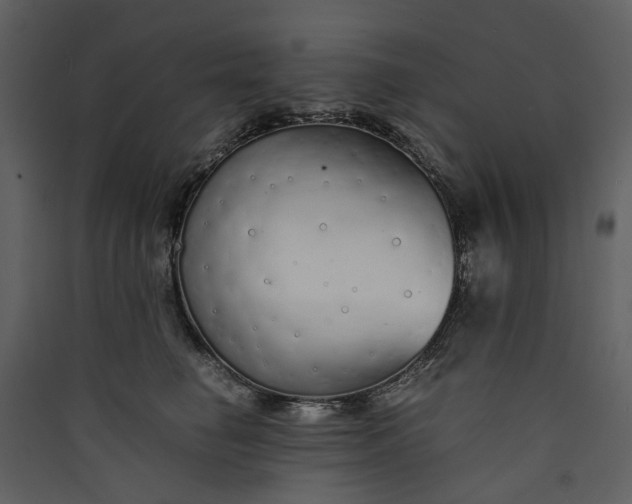 X0000089930662200707131433