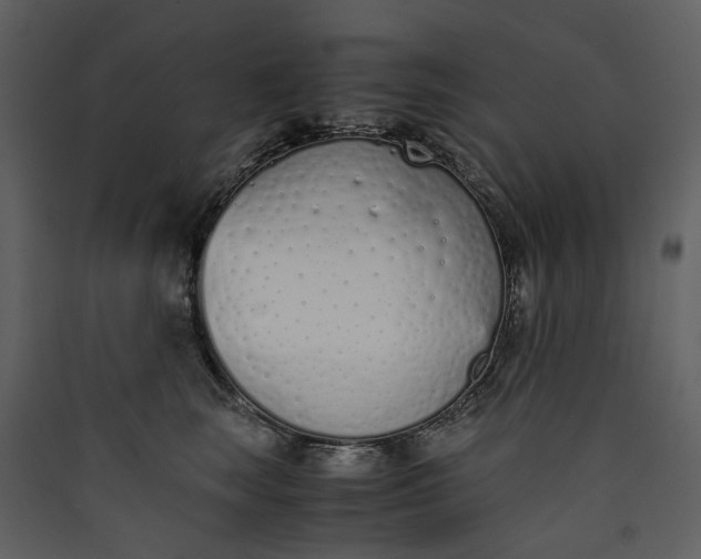 X0000089930663200707131433