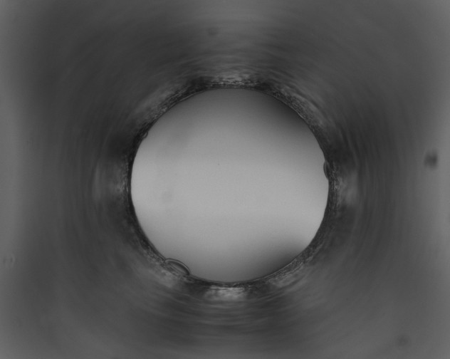 X0000089930665200707131433