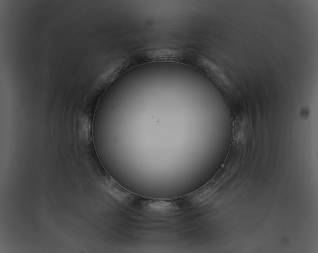 X0000089930669200707131433