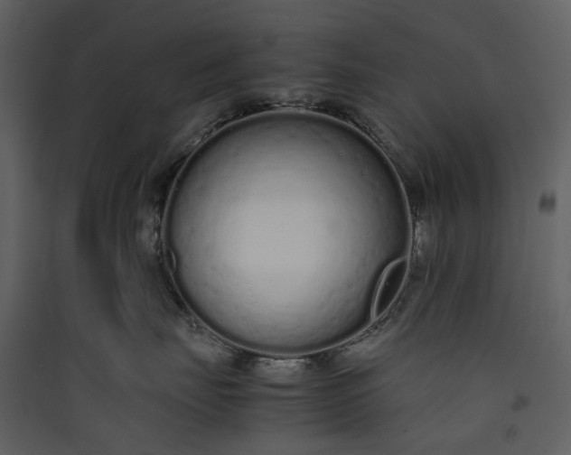 X0000089930671200707131433