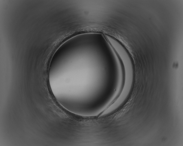 X0000089930673200707131432