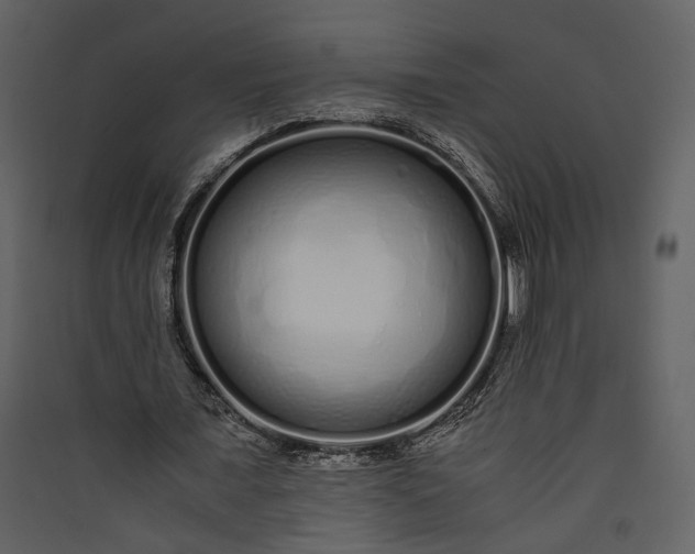 X0000089930675200707131432