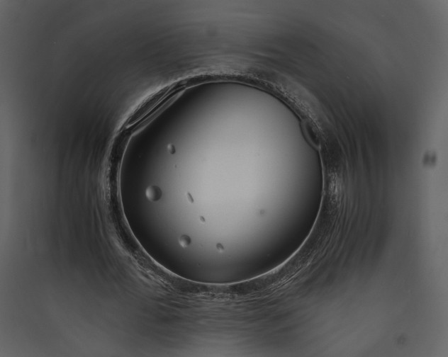 X0000089930676200707131432