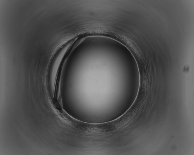 X0000089930677200707131432