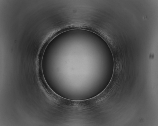 X0000089930678200707131432