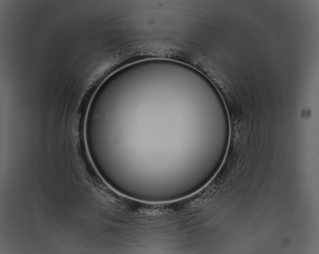 X0000089930679200707131432