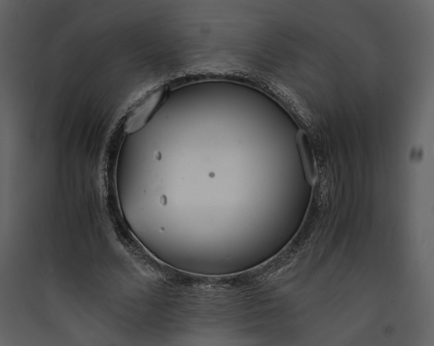 X0000089930680200707131432