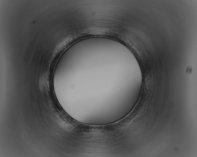 X0000089930682200707131432